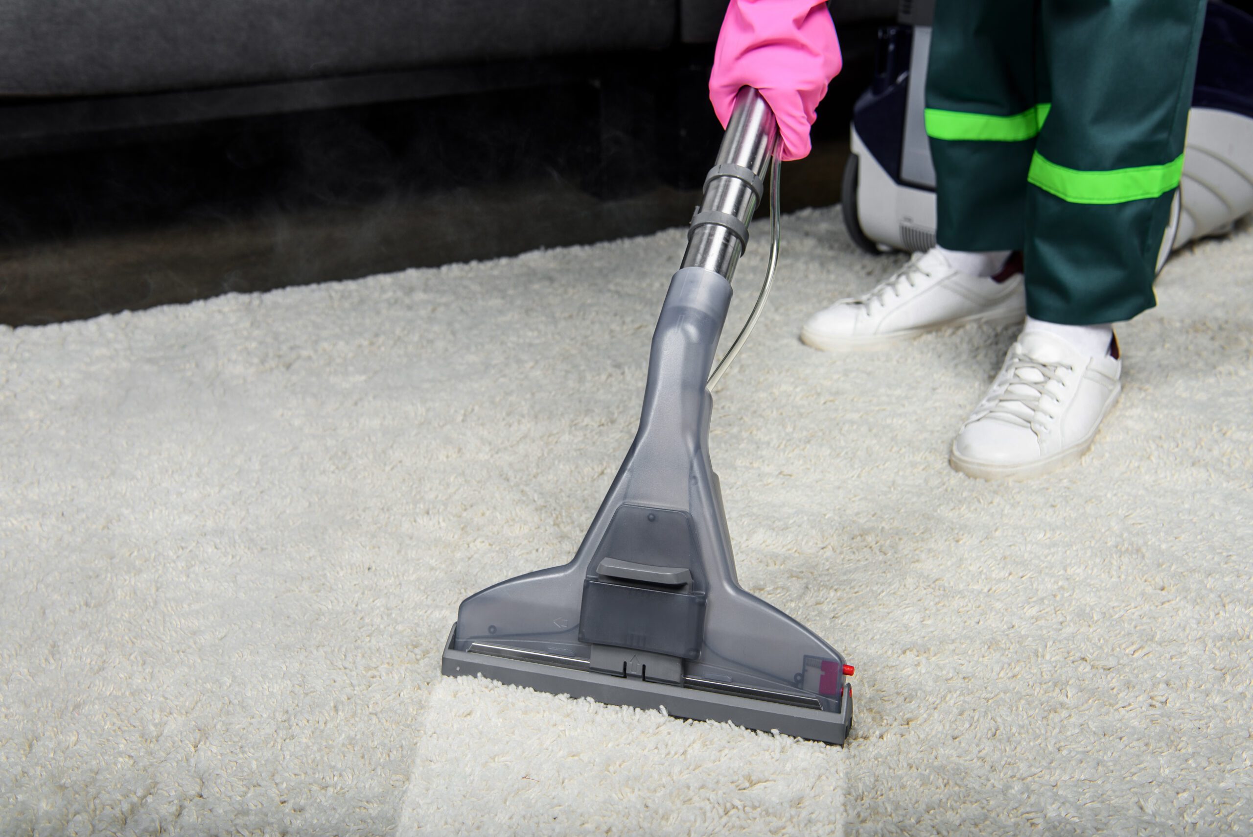 professional cleaning services